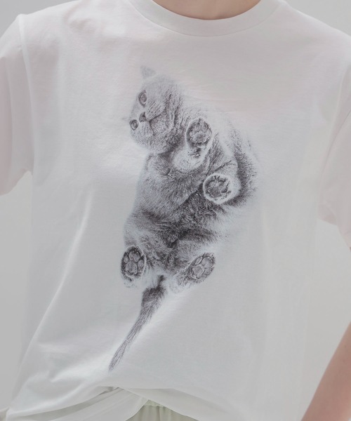 DRESSLAVE（ドレスレイブ）の「BOSS T-shirt(猫プリントハーフスリーブTシャツ)（Tシャツ/カットソー・レディース・ホワイト・38）」の4枚目の写真