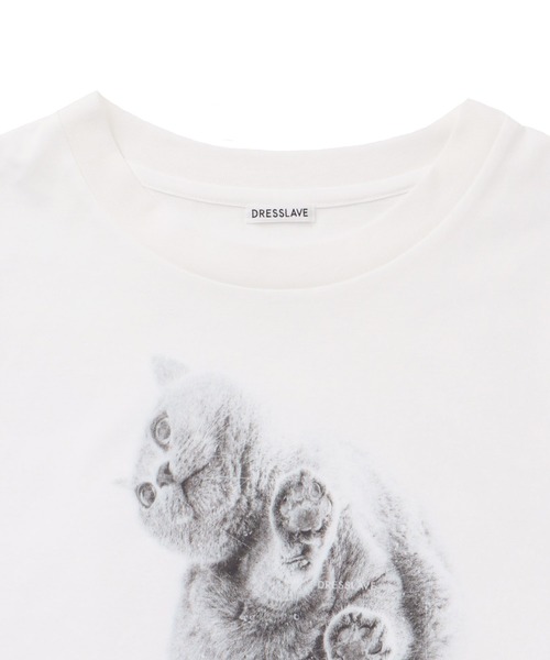DRESSLAVE（ドレスレイブ）の「BOSS T-shirt(猫プリントハーフスリーブTシャツ)（Tシャツ/カットソー・レディース・ホワイト・38）」の7枚目の写真
