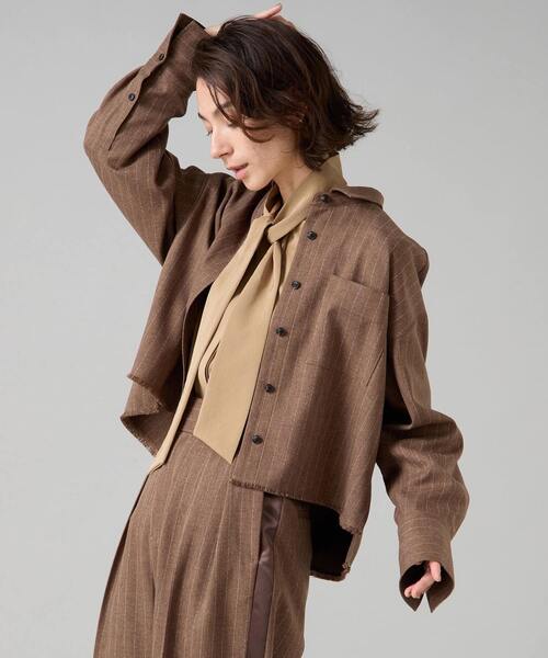 Liesse(リエス)の「クロップドシャツ(シャツ/ブラウス・レディース・グレー/ブラウン・FREE)」の22枚目の写真