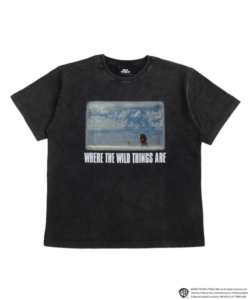かいじゅうたちのいるところ / WHERE THE WILD THINGS ARE