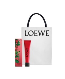 ロエベ リキッドソープ トマトリーフ（ハンドソープ）｜LOEWE Perfumes