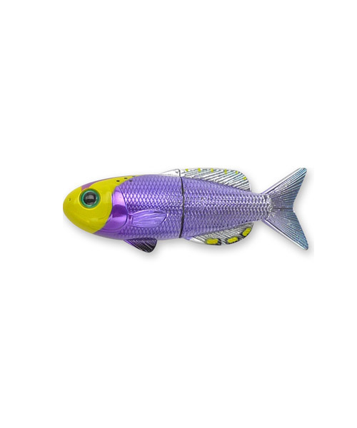 GLOBAL FORME CONCRETE(グローバルフォルムコンクリート)の「FISH MAGNET-HELFRICHI FIREFISH【マグネット】(ステーショナリー)」|その他1