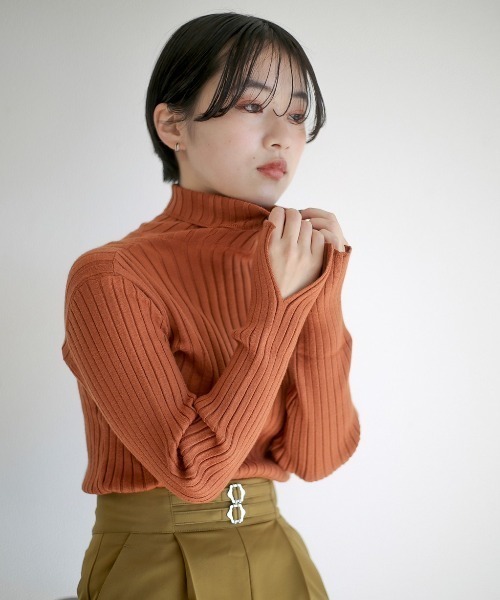 spoon store（スプーンストア）の「リブニットタートルネックインナー（ニット/セーター・レディース・ブラック/ブラウン/グリーン/アイボリー・フリー）」の3枚目の写真