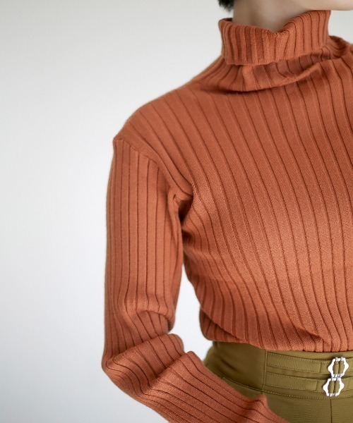 spoon store（スプーンストア）の「リブニットタートルネックインナー（ニット/セーター・レディース・ブラック/ブラウン/グリーン/アイボリー・フリー）」の19枚目の写真