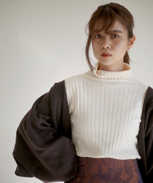 spoon store（スプーンストア）の「リブニットタートルネックインナー（ニット/セーター・レディース・ブラック/ブラウン/グリーン/アイボリー・フリー）」の7枚目の写真