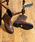 PADRONEiph[lj́uPADRONE ph[l / SHORT WORK BOOTS (WATER PROOF LEATHER) EH[^[v[t[Nu[c yRXu[c Cu[c  h ru\[ { / PU7358-1127iu[cjvb_[NuE