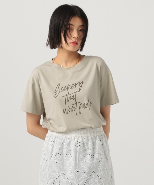 BAYFLOW(ベイフロー)の「アソートロゴショートスリーブT(Tシャツ/カットソー・レディース・オフホワイト/グリーン/グレイッシュベージュ/ブラック/ホワイト系2/ベージュ系2/ボルドー/パープル・MEDIUM/SMALL)」の5枚目の写真