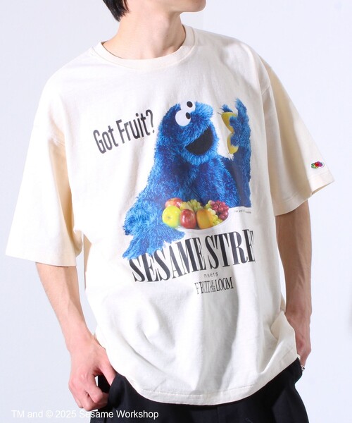 FRUIT OF THE LOOM（フルーツオブザルーム）の「【SESAME STREET×FOTL】Photo T-Shirt C クルーネックプリントTシャツ（Tシャツ/カットソー・メンズ・ホワイト/チャコールグレー・L/M）」の11枚目の写真