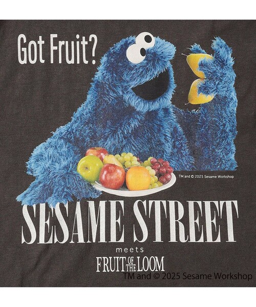 FRUIT OF THE LOOM（フルーツオブザルーム）の「【SESAME STREET×FOTL】Photo T-Shirt C クルーネックプリントTシャツ（Tシャツ/カットソー・メンズ・ホワイト/チャコールグレー・L/M）」の22枚目の写真