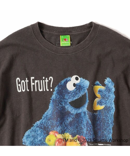 FRUIT OF THE LOOM（フルーツオブザルーム）の「【SESAME STREET×FOTL】Photo T-Shirt C クルーネックプリントTシャツ（Tシャツ/カットソー・メンズ・ホワイト/チャコールグレー・L/M）」の21枚目の写真