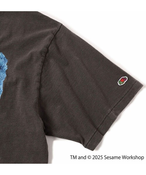 FRUIT OF THE LOOM（フルーツオブザルーム）の「【SESAME STREET×FOTL】Photo T-Shirt C クルーネックプリントTシャツ（Tシャツ/カットソー・メンズ・ホワイト/チャコールグレー・L/M）」の20枚目の写真
