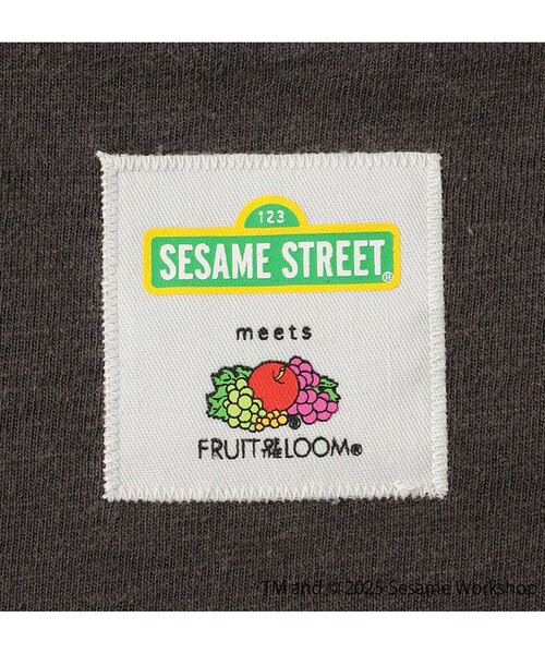 FRUIT OF THE LOOM（フルーツオブザルーム）の「【SESAME STREET×FOTL】Photo T-Shirt C クルーネックプリントTシャツ（Tシャツ/カットソー・メンズ・ホワイト/チャコールグレー・L/M）」の18枚目の写真