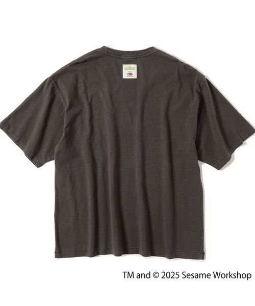 FRUIT OF THE LOOM（フルーツオブザルーム）の「【SESAME STREET×FOTL】Photo T-Shirt C クルーネックプリントTシャツ（Tシャツ/カットソー・メンズ・ホワイト/チャコールグレー・L/M）」の17枚目の写真