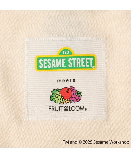 FRUIT OF THE LOOM（フルーツオブザルーム）の「【SESAME STREET×FOTL】Photo T-Shirt C クルーネックプリントTシャツ（Tシャツ/カットソー・メンズ・ホワイト/チャコールグレー・L/M）」の14枚目の写真