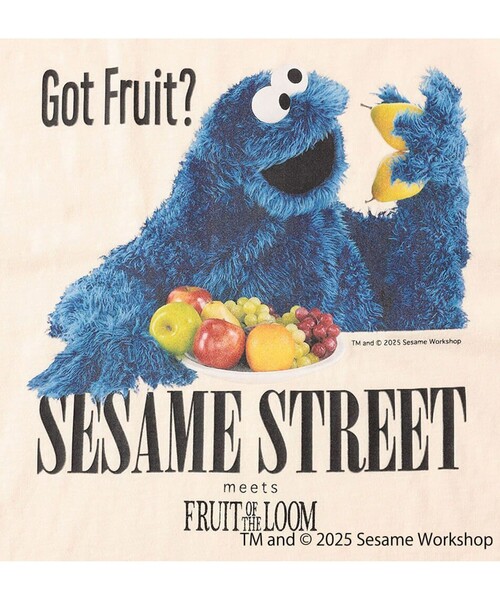 FRUIT OF THE LOOM（フルーツオブザルーム）の「【SESAME STREET×FOTL】Photo T-Shirt C クルーネックプリントTシャツ（Tシャツ/カットソー・メンズ・ホワイト/チャコールグレー・L/M）」の13枚目の写真