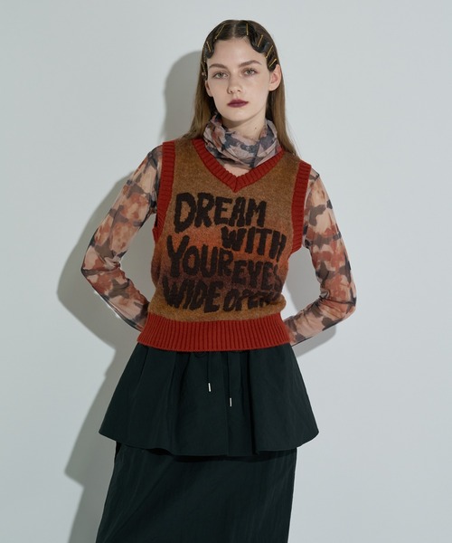 anna sui nyc(アナ スイ エヌ ワイ シー)の「グラデーションジャガードベスト(ニット/セーター・レディース・ブルー/ブラウン・FREE)」の1枚目の写真
