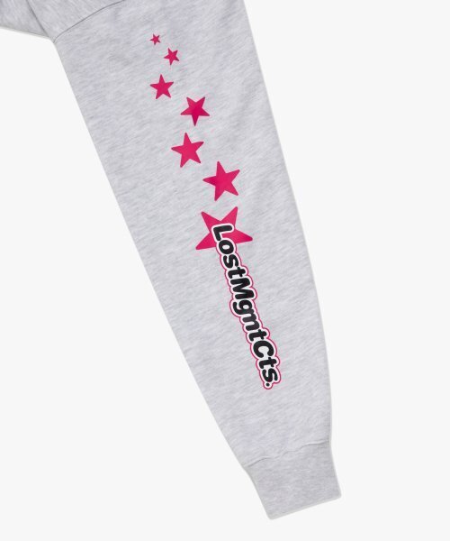 LMCの「WM STAR GIRL CROPPED HOODIE light heather gray(パーカー・レディース・その他・SMALL/MEDIUM)」の7枚目の写真