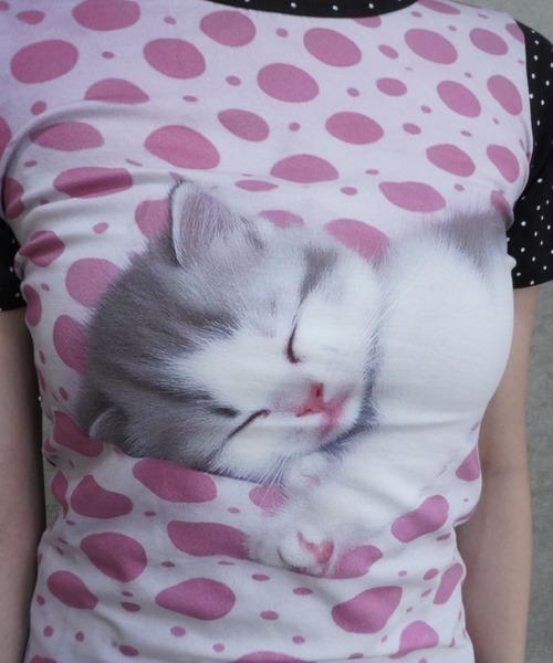 ASHLEY WILLIAMS(アシュリーウィリアムス)の「KITTEN SHORT SLEEVE TEE(Tシャツ/カットソー・レディース・マルチ・S/M)」の3枚目の写真