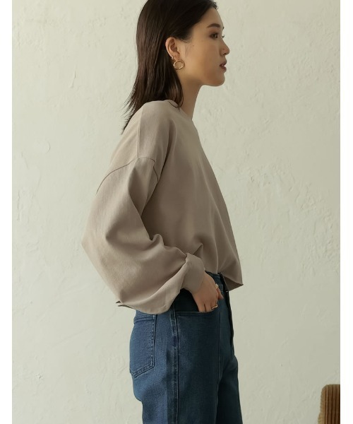 Re:EDIT(リエディ)の「USAコットンショート丈ロンT(Tシャツ/カットソー・レディース・スミクロ/ベージュ/ブルー/ホワイト/グレイッシュベージュ/グレー/ブラウン・MEDIUM/LARGE)」の15枚目の写真