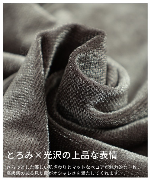 Sawa a la mode（サワアラモード）の「シアーベロアバックオープンプルオーバー（Tシャツ/カットソー・レディース・ブラウン/オフホワイト/グレー/ブラック・FREE）」の14枚目の写真
