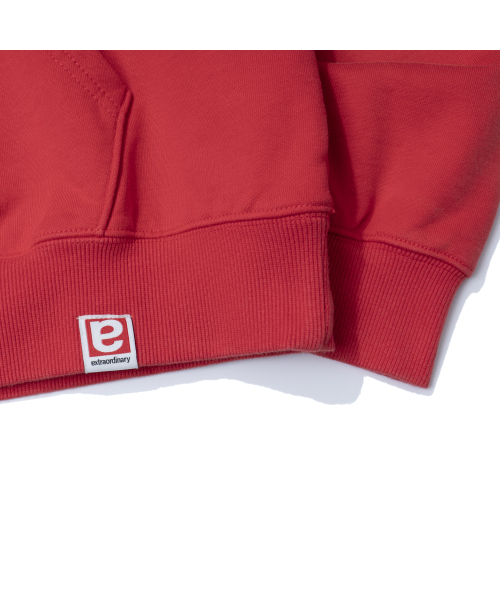EXTRAORDINARY（エクストラオーディナリー）の「DEFY THE ODDS FADE WASHING HOODIE RED（パーカー・メンズ・その他・X-LARGE/MEDIUM/LARGE）」の7枚目の写真