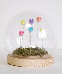 BACKYARD FAMILY(�o�b�N���[�h�t�@�~���[)��LUMO �`���[���b�v�K���X�{�[��S(�Ɩ�)