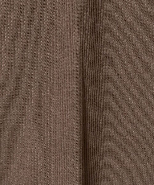 A DAY IN THE LIFE UNITED ARROWS(アデイインザライフユナイテッドアローズ)の「シアー リブ タートルカットソー <A DAY IN THE LIFE>(Tシャツ/カットソー・レディース・ブラック/オフホワイト/ブラウン系・FREE)」の8枚目の写真