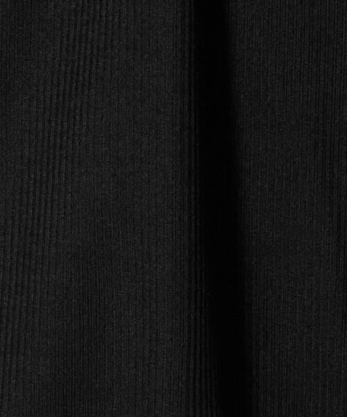 A DAY IN THE LIFE UNITED ARROWS(アデイインザライフユナイテッドアローズ)の「シアー リブ タートルカットソー <A DAY IN THE LIFE>(Tシャツ/カットソー・レディース・ブラック/オフホワイト/ブラウン系・FREE)」の12枚目の写真