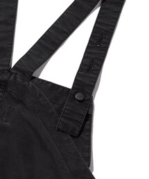 ノースフェイスパープルレーベル　インディゴ　マウンテン　ウィンドオーバーオール nanamica ONLINE STORE│