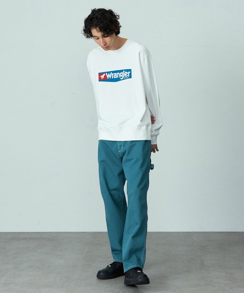Wrangler/ラングラー【WRAPID TRANSIT/ラピッドトランジット】新色追加/ワイドペインターデニムパンツ カラーデニムパンツ【ユニセックス】（デニムパンツ）｜Lee（リー）
