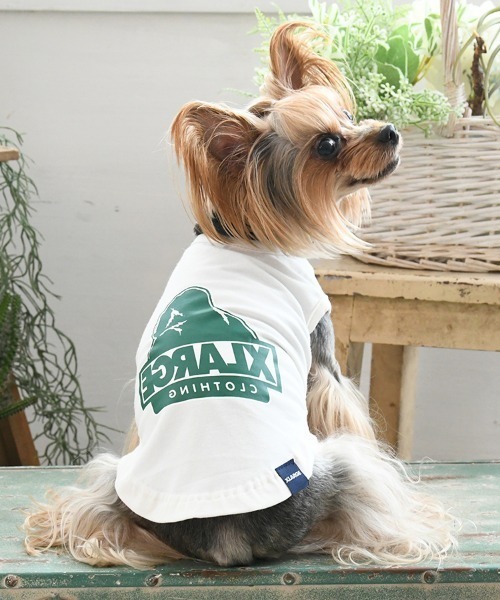 XLARGE（エクストララージ）の「XLARGE/スランテッドOGタンク（ペットウェア・レディース・レッド/ホワイト・XS/S/M/L/2L/3L）」の2枚目の写真