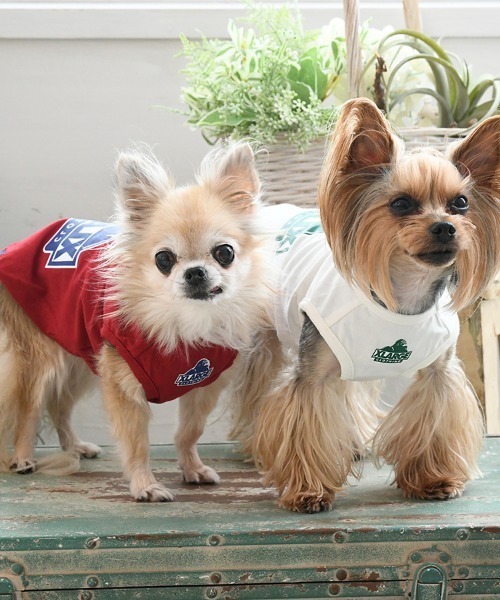 XLARGE（エクストララージ）の「XLARGE/スランテッドOGタンク（ペットウェア・レディース・レッド/ホワイト・XS/S/M/L/2L/3L）」の15枚目の写真