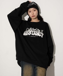 WEGO/メタリックロゴプルオーバー