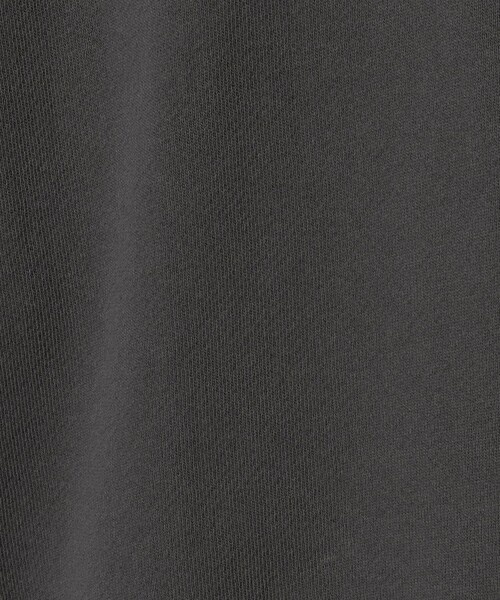 green label relaxing（グリーンレーベルリラクシング）の「フォルム スウェット プルオーバー（スウェット・レディース・ブラウン/レッド/オフホワイト/ダークグレー・FREE）」の19枚目の写真