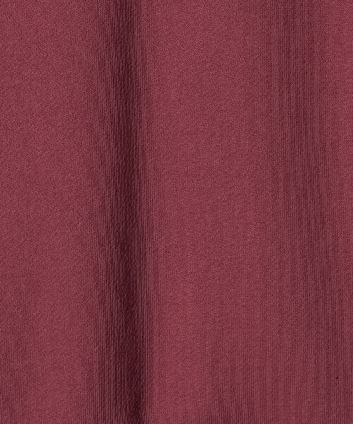 green label relaxing（グリーンレーベルリラクシング）の「フォルム スウェット プルオーバー（スウェット・レディース・ブラウン/レッド/オフホワイト/ダークグレー・FREE）」の7枚目の写真