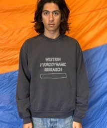 WESTERN HYDRODYNAMIC RESEARCH｜ウェスタンハイドロダイナミック