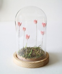 BACKYARD FAMILY（バックヤードファミリー）の「LUMO チューリップガラスドームS（照明）」