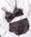 Lace Ladies�i���[�X���f�B�[�X�j�́u�T�e�����˂���O�p�J�b�v�u��&�V���[�c�Z�b�g�i�u��&�V���[�c�j�v�b�_�[�N�O���[