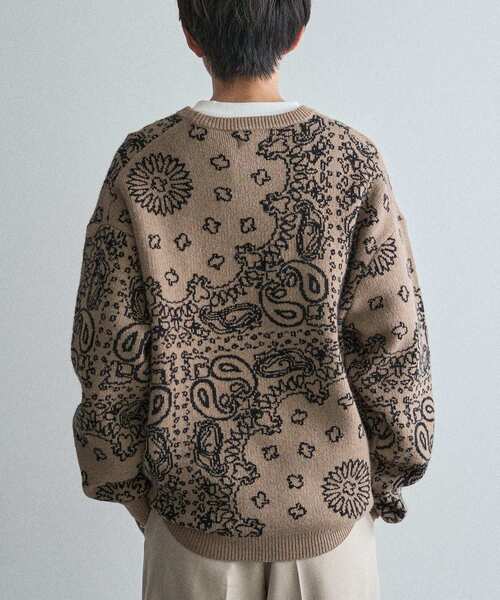 CRAFT STANDARD BOUTIQUE（クラフトスタンダードブティック）の「ペイズリー柄ニットプルオーバー（ニット/セーター・メンズ・グレイッシュベージュ/アイボリー/ブラック・M/L/XL）」の18枚目の写真