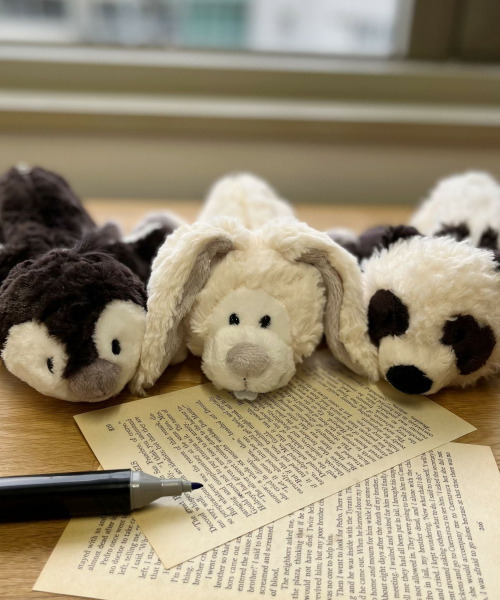 と*猫様 N/A 赤西仁 ラッキーくじぬいぐるみ/ポーチ と*猫様 N/A 赤西仁 ラッキーくじぬいぐるみ/ポーチ と*猫様