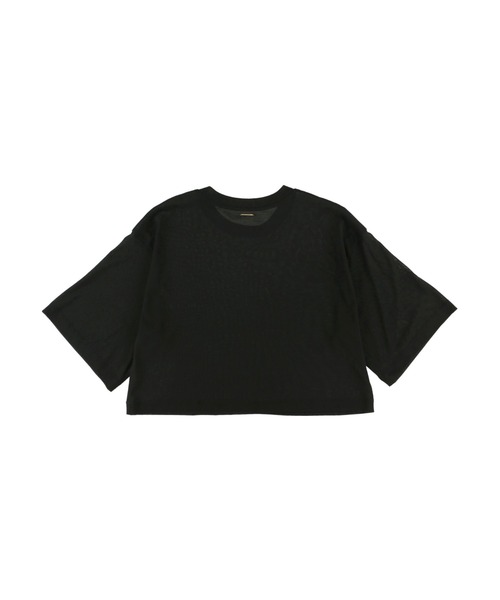 ALEXIA STAM（アリシアスタン）の「Basic Sheer Cropped Tee/ベーシックシアークロップドT（Tシャツ/カットソー・レディース・ベージュ/ブラック・FREE）」の17枚目の写真