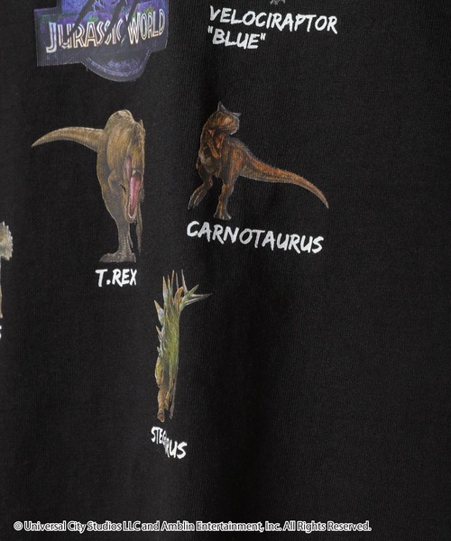 GLOBAL WORK(グローバルワーク)の「ジュラシックコラボ/半袖T/192573(Tシャツ/カットソー・キッズ・チャコールグレー/グレー系その他7/ダークグレー/その他/カーキ/ブラック/ホワイト・110cm/100cm/120cm/130cm/140cm/150cm/160cm)」の10枚目の写真