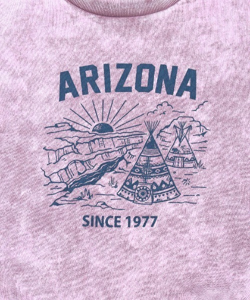 チチカカ（チチカカ）の「パウダーダイスウェットプルオーバー（スウェット・レディース・ピンク/グリーン/チャコールグレー・FREE）」の16枚目の写真