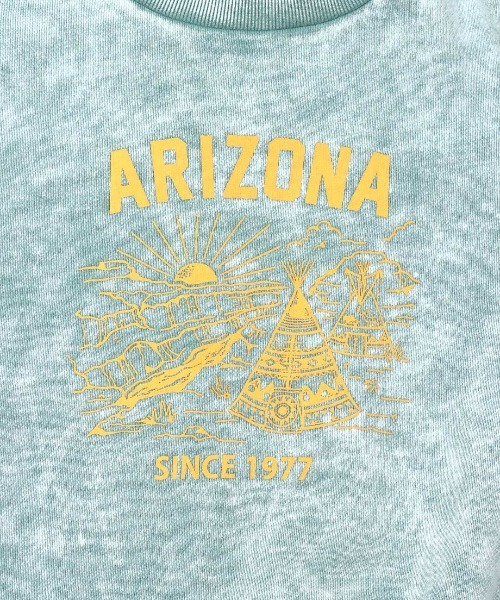 チチカカ（チチカカ）の「パウダーダイスウェットプルオーバー（スウェット・レディース・ピンク/グリーン/チャコールグレー・FREE）」の15枚目の写真