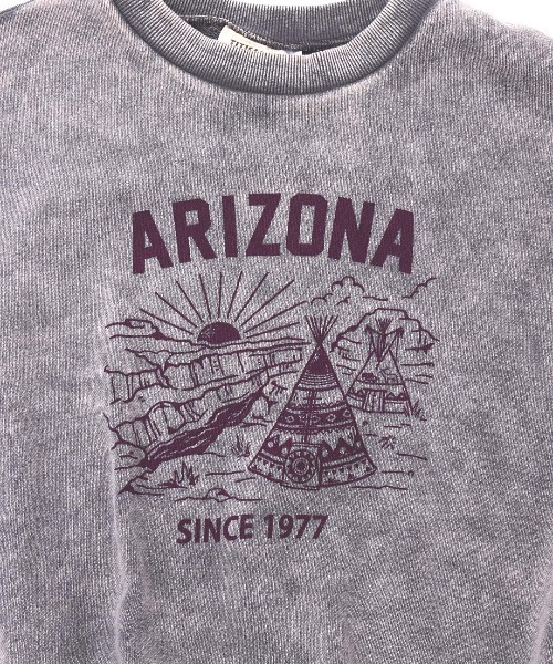 チチカカ（チチカカ）の「パウダーダイスウェットプルオーバー（スウェット・レディース・ピンク/グリーン/チャコールグレー・FREE）」の14枚目の写真