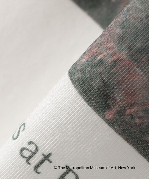 SHIPS Colors(シップス カラーズ)の「SHIPS Colors:THE MET コラボ モネ アート Tシャツ(Tシャツ/カットソー・レディース・オフホワイト/ダークグレー・ONE SIZE)」の8枚目の写真