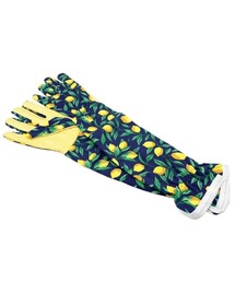 BACKYARD FAMILY（バックヤードファミリー）の「ガーデニング マルチグローブ（手袋）」