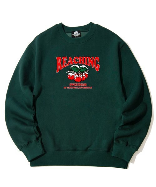 TRIPSHION(トリップション)の「スノウイチェリーグラフィッククルーネック - グリーン(スウェット・メンズ・その他・LARGE/MEDIUM/X-LARGE)」の1枚目の写真