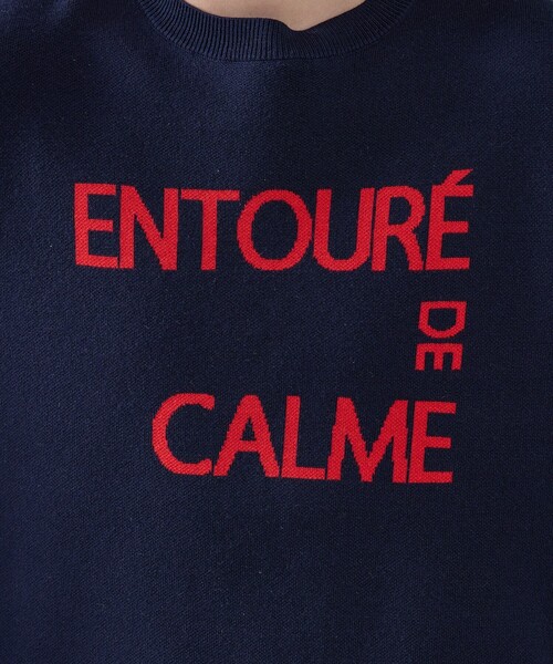 ABAHOUSE(アバハウス)の「【2026NEW】ジャガードロゴニット プルオーバー / オーバーサイズ / LE TRIO ABAHOUSE(ニット/セーター・メンズ・ネイビー/ベージュ/グリーン・48/46)」の10枚目の写真