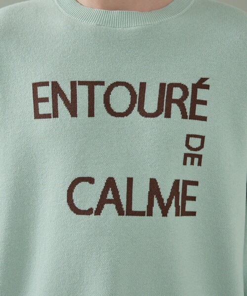 ABAHOUSE(アバハウス)の「【2026NEW】ジャガードロゴニット プルオーバー / オーバーサイズ / LE TRIO ABAHOUSE(ニット/セーター・メンズ・ネイビー/ベージュ/グリーン・48/46)」の14枚目の写真